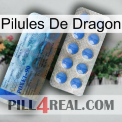 Dragon Pills 40